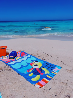 Haneya Beach Towel 140x70