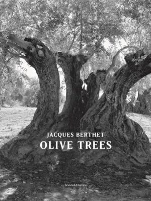 Olive Trees