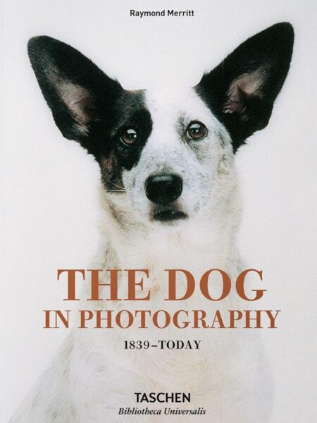 The Dog in Photography: 1839-Today