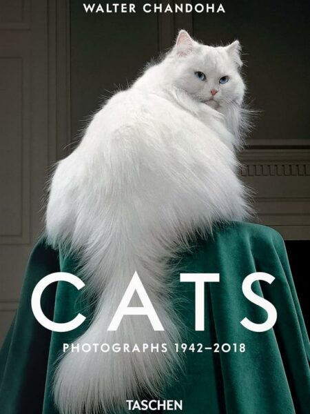 Cats: Photographs 1942-2018