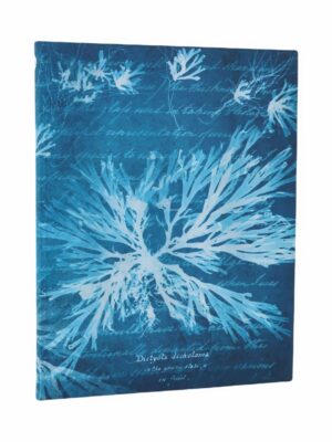 Sea Flowers Ultra Lined Softcover Flexi Journal (Anna Atkins' Cyanotypes)(Elastic Band Closure)