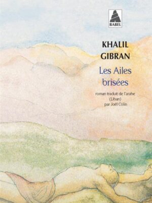 Les Ailes brisees