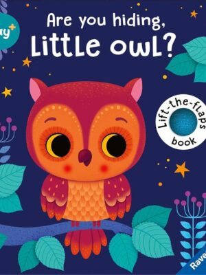 Play+: Are You Hiding, Little Owl?
