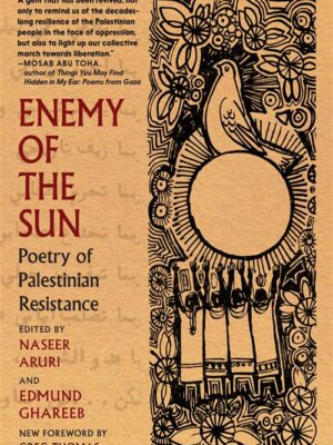 Enemy of the Sun