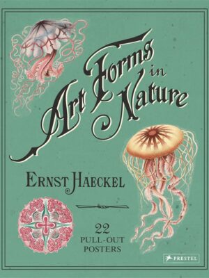 Art Forms in Nature: 22 Pull-Out Posters