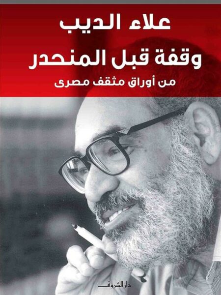 وقفة قبل المنحدر: من أوراق مثقف مصرى