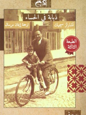 ذبابة في الحساء